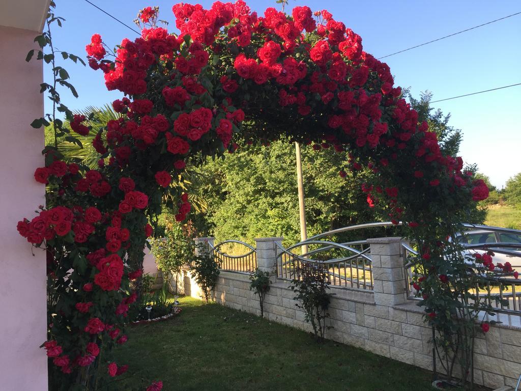 Villa Baldi Tar-Vabriga エクステリア 写真